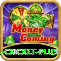 all cricket - Casino Pro
