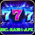 bbl big bash apk Master Pro v4.9.0