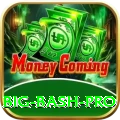big bash Champion - Win Real PKR