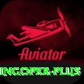 bingopkr Master v1.8.1