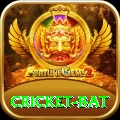 cricket bat Pro Max v5.6.8
