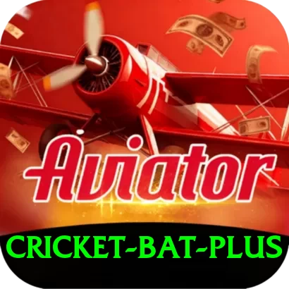 cricket bat Pro Pakistan - 2