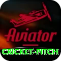 cricket pitch Master v4.4.4