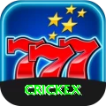 crickex Max vv5.0.5