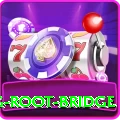 dawki living root bridge Pro v4.9.9