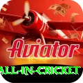fastest ball in cricket Premium Edition v2.2.5