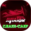 grass carp Plus Edition v4.9.8