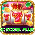 icc score Plus v5.4.8