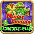 india bangladesh cricket VIP v1.5.0