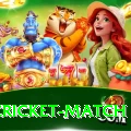 india cricket match Deluxe v3.1.3