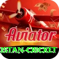 india pakistan cricket Pro Edition v3.2.1