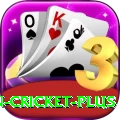 india pakistan cricket Game Super v4.2.6