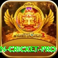 india pakistan cricket Super Latest v4.5.1