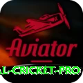 international cricket Pakistan Supreme v1.8.8