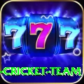 ireland cricket team Gold Edition v3.9.9