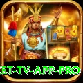 live cricket tv app VIP - Daily Bonus