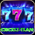 mumbai cricket team Pro Edition v1.8.0