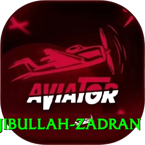 najibullah zadran Apps (Tools & Injectors) Premium v2.2.6 - 2