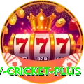 ndtv cricket Live Casino Royal