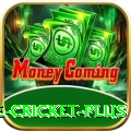 online cricket - VIP Prime