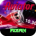 pkspin Premium Plus vv3.3.8