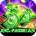 responsible gambling pakistan Master v2.5.5