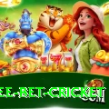 risk free bet cricket Ultimate v2.6.6