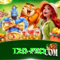 t20 Gaming Gold v4.3.1