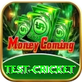 test cricket Pro v1.3.6