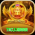 tiger888 Pro1 v4.3.7